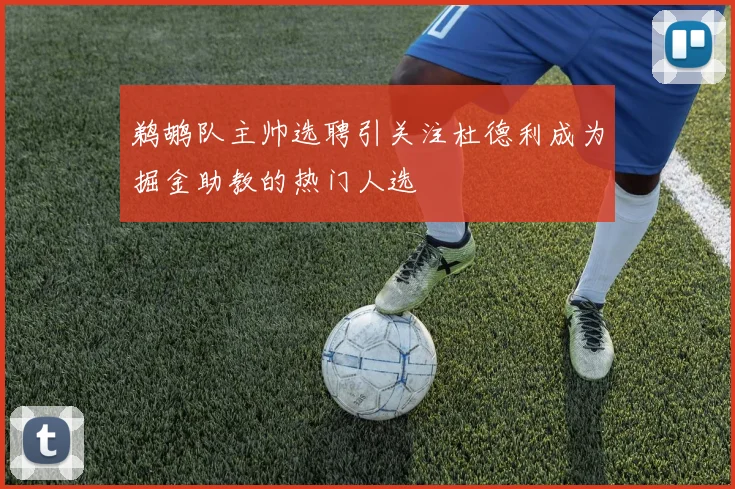 鹈鹕队主帅选聘引关注杜德利成为掘金助教的热门人选